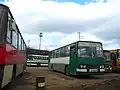 Ikarus 250 и Ikarus 260.02 в Твери