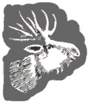 Изображение логотипа