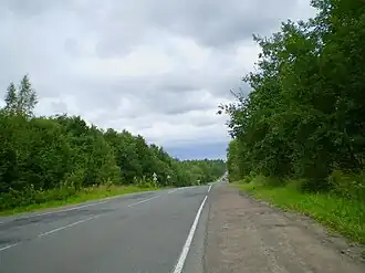 Вид на Дорогу жизни из пос. Углово