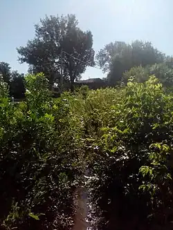 Исток реки Нетеча