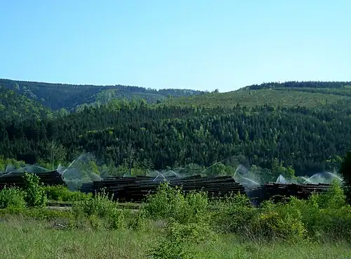 Орошение пиломатериалов