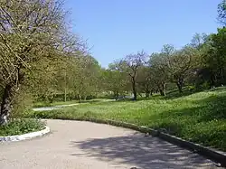 Парк «Балка Ушакова» — ботанический памятник