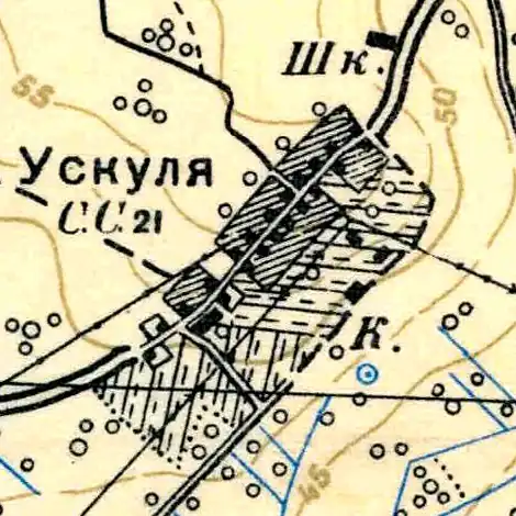 План деревни Ускуля. 1939 год