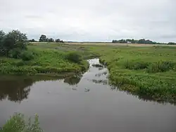 Устье реки Сосновки