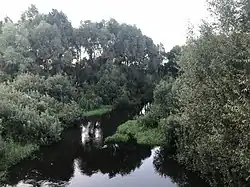 Вид реки с моста возле деревни Уза