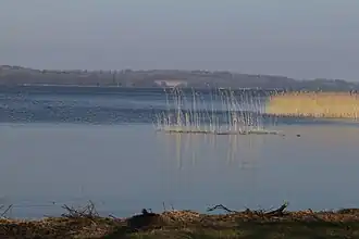 Озеро в апреле 2018 г.