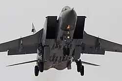 VVS — MiG-31 — 220113 (13).jpg