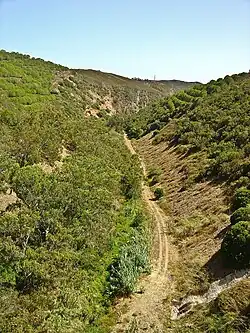 Одиашере сразу за плотиной в среднем течении летом 2007 года