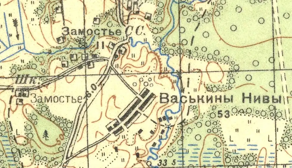 План деревни Васькины Нивы. 1937 год