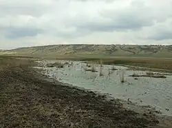 Большой Куяльник в районе села Севериновка