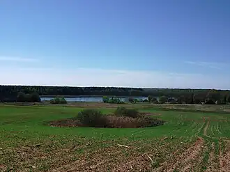 Панорамный вид на озеро Воробьи с северной стороны между деревнями Воробьи и Сенюти весной 2014 года