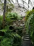 Оранжерея папоротниковых, отделение сада в Бенморе