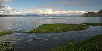 Озеро Аппер-Кламат летом 2011 года.