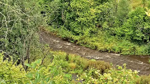 Вид на реку с берега каньона