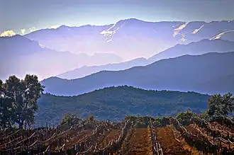 Виноградники в Эрбайоло