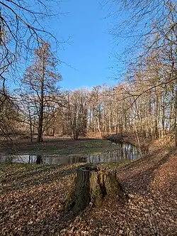 Вид на нижнее течение Вирсите около устья в Свитене весной 2025 года