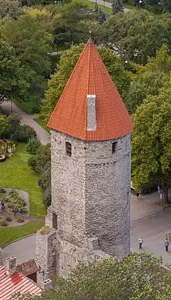 Вид на башню Плате с церкви Олевисте