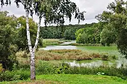 река возле села Власовка