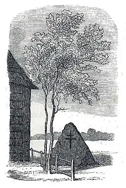 Рисунок XIX века