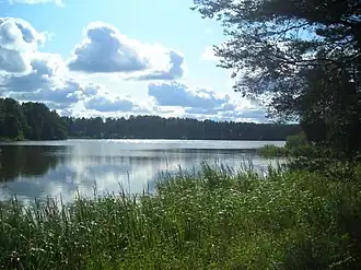 Вид на южную часть озера летом 2009 года