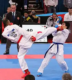 На Чемпионате мира 2012 в Париже (в синем)