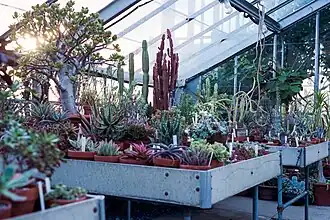 Оранжерея Марко Поло в Уэйв-Хилл