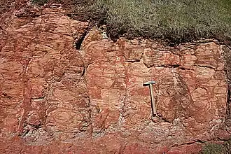 Осадочные горные породы