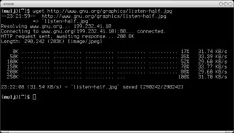 Скриншот программы GNU Wget