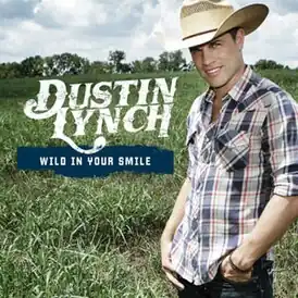 Обложка сингла Дастина Линча «Wild in Your Smile» (2013)