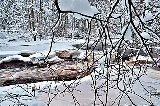 Линдуловская роща и река Рощинка зимой