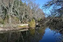 Река зимой 2018 года.