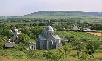 Вид на Трудовач