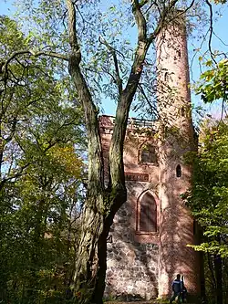 Башня в лесу