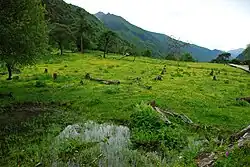 Уезд Сяоцзинь западнее Сыгуняншаня