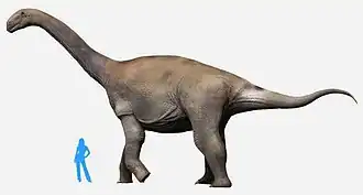 Реконструкция внешнего облика