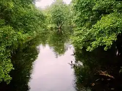 Жеймяна в Калтаненае