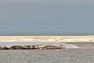 Вид из бухты Журавёва