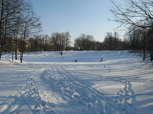 Катание на санках-ватрушках у нижнего озера Демидовского парка с высоты, на которой располагалось главное здание имения Демидовых (февраль 2011 г.).