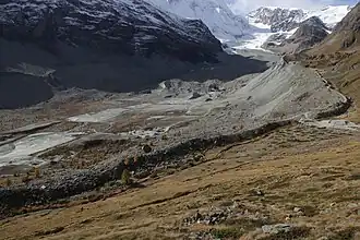 Цмутт в октябре 2015 года