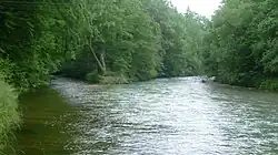 Исток Трауна