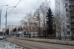 Улица Лётчика Полагушина, вид в восточном направлении